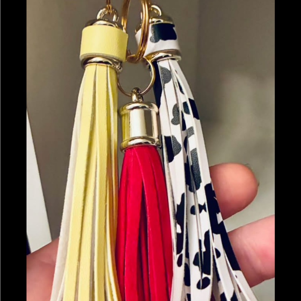 Stylish Multicolor Tassel Keychain Set
